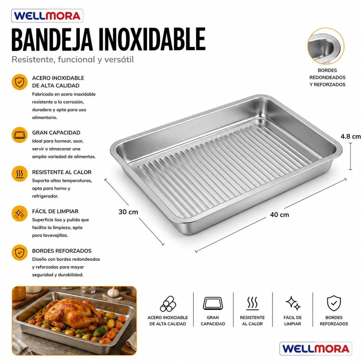 Bandeja Inox